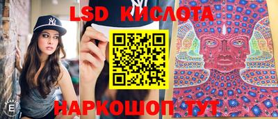 ALPHA PVP Владивосток