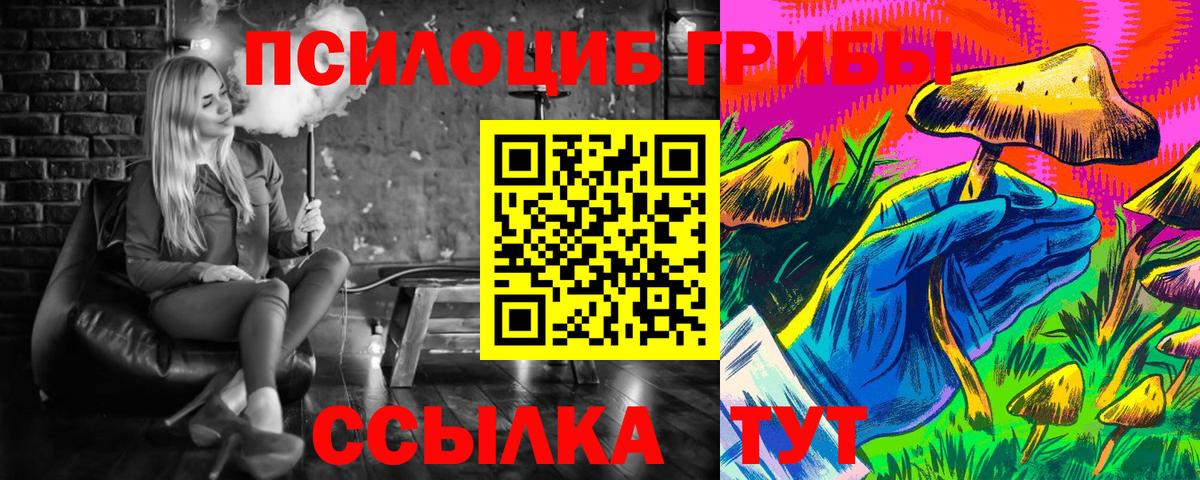 Галлюциногенные грибы Cubensis Белорецк
