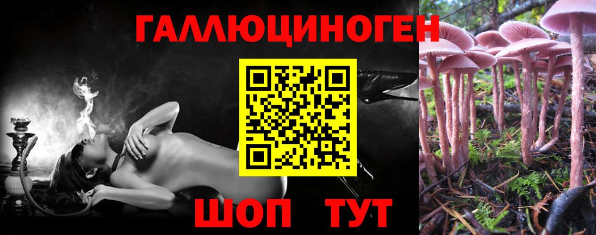 Псилоцибиновые грибы Psilocybe  Псилоцибиновые грибы прущие грибы  Белорецк  Вход с VPN 